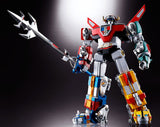 Soul of Chogokin GX-71 Beast King Go Lion Voltron