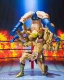 S.H. Figuarts -Kinnikuman Terryman