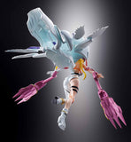 Digivolving Spirits Digimon Adventure 04 - Angewomon