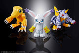 Digivolving Spirits Digimon Adventure 04 - Angewomon