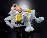Digivolving Spirits Digimon Adventure 04 - Angewomon