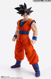 IMAGINATION WORKS - Dragon Ball Z -  Son Goku