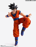 IMAGINATION WORKS - Dragon Ball Z -  Son Goku