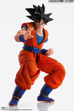 IMAGINATION WORKS - Dragon Ball Z -  Son Goku