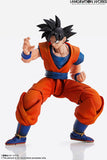 IMAGINATION WORKS - Dragon Ball Z -  Son Goku
