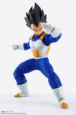 IMAGINATION WORKS - Dragon Ball Z - Vegeta