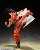 S. H. Figuarts Dragon Ball Z - Son Goku's Effect Part Set