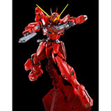 Gundam MG 1/100 Premium Bandai Exclusive - RGX-00 Testament Gundam