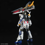 Gundam RG 1/144 Premium Bandai Exclusive - RX-93ff v Gundam