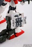 Gundam MG 1/100 - Premium Bandai Exclusive - Gundam Heavyarms EW Igel Unit