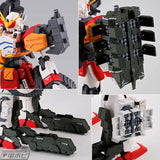 Gundam MG 1/100 - Premium Bandai Exclusive - Gundam Heavyarms EW Igel Unit