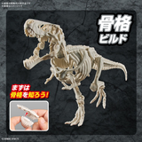 Bandai Spirits Dinosaur Model Kit #01 Tyrannosarus (Tentative)